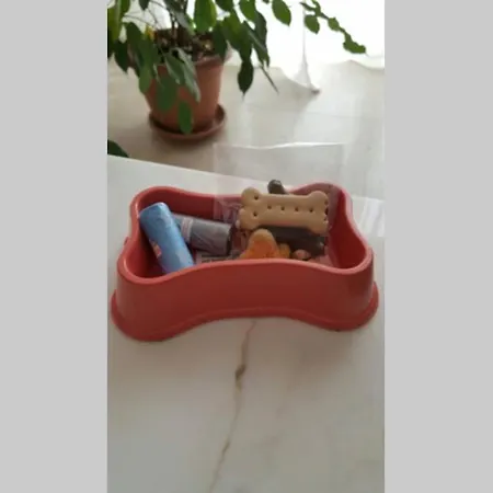 Garden Appartement